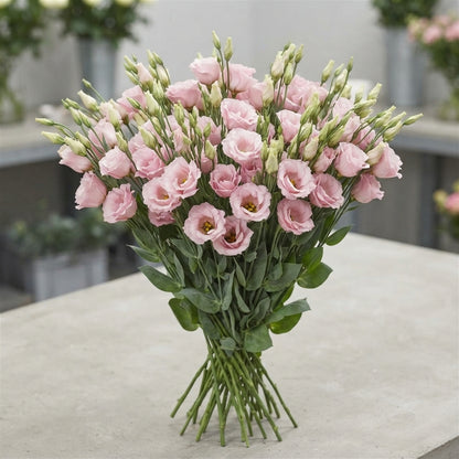 FeedSync:wholesale:8712008d215c981185d84e1910b41729c42305ec