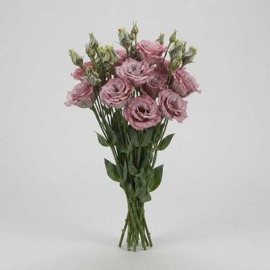 Lisianthus Dyed Black Rose