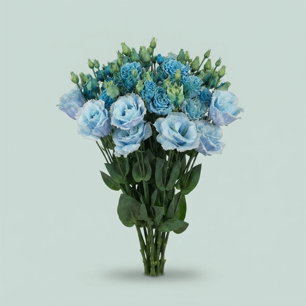 Lisianthus Dyed Heavenly Blue