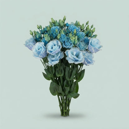 Lisianthus Dyed Heavenly Blue