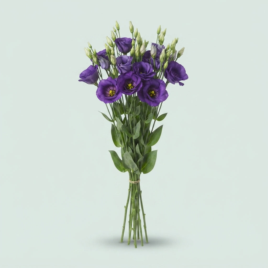 Lisianthus Botanic Blue