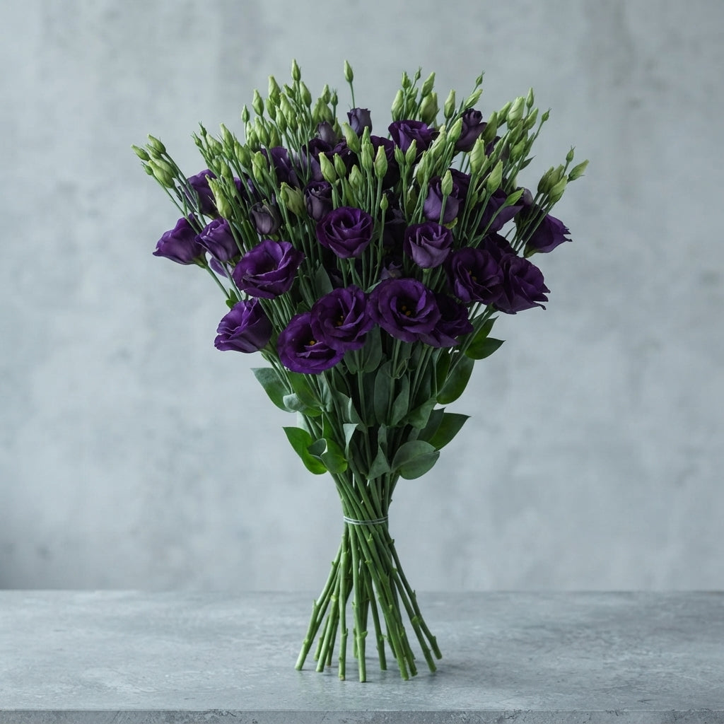 FeedSync:wholesale:f6fd822aee86d1dba28f18683987a81269f0b6a0