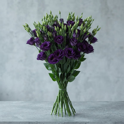 FeedSync:wholesale:f6fd822aee86d1dba28f18683987a81269f0b6a0