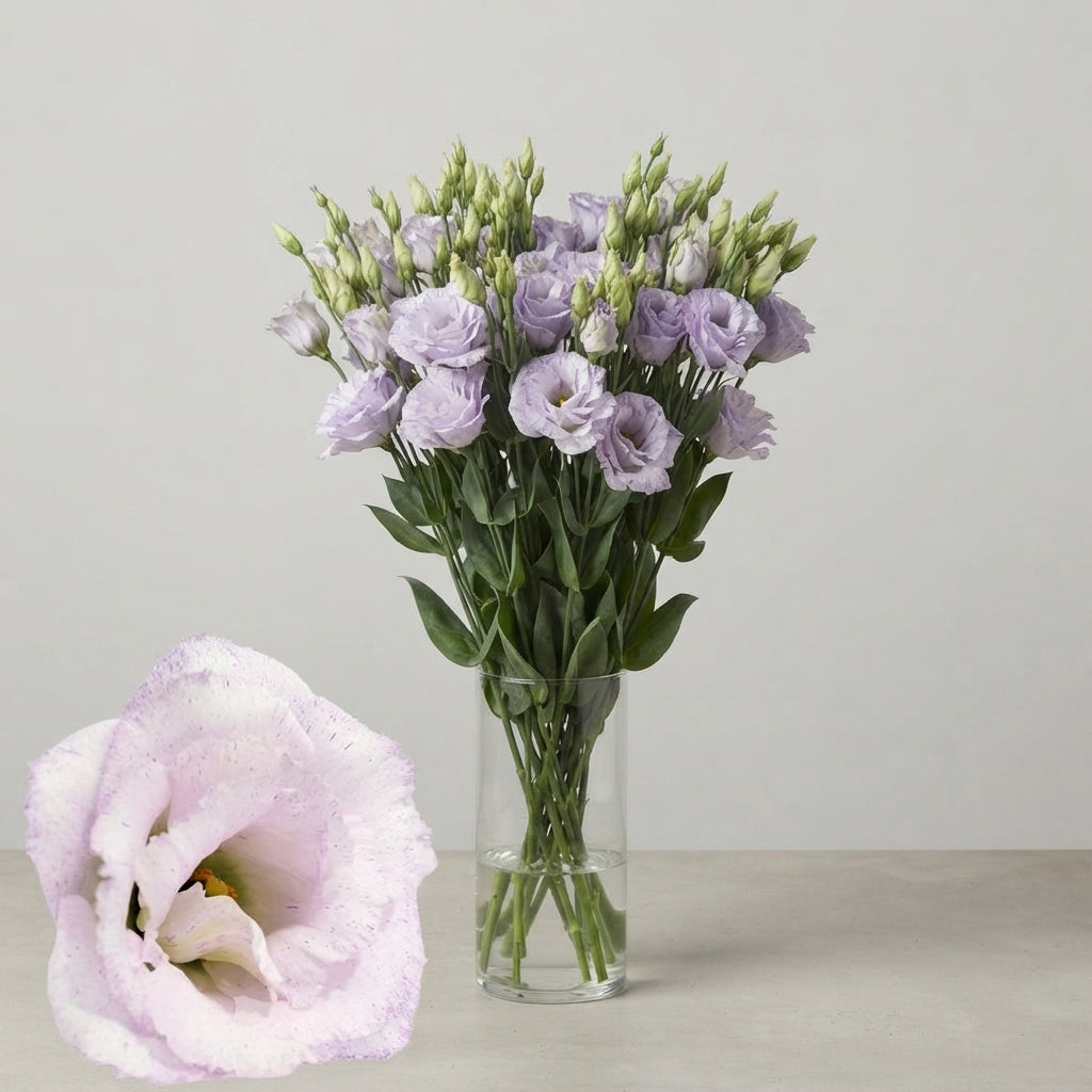 FeedSync:wholesale:bc803cbb6d95904d888fe1f74296c2212d42ce41