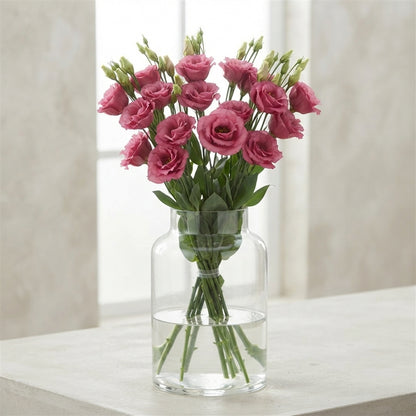 FeedSync:wholesale:15902bfdeadc99c00654720573b30a86a711687f