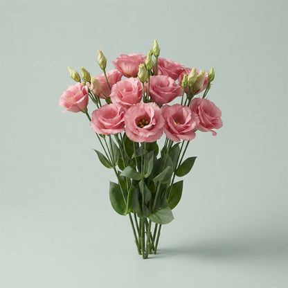 Lisianthus Rosita Rose Pink