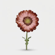 FeedSync:wholesale:06ac36c3f9a29073003418cc9592e1250a0bca07