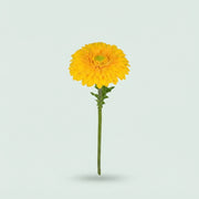 FeedSync:wholesale:f6941fc72db8e28d27df68228021d1c1f91a6f05