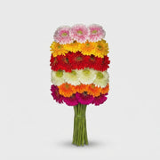 FeedSync:wholesale:728a961fac678686f792b228d85802fe16dd0d53