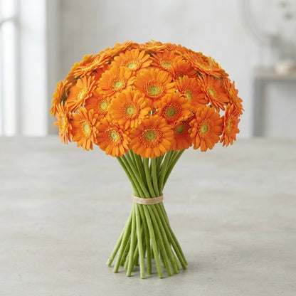 FeedSync:wholesale:4fcd6af21e975349cac8cd8ca2d0eb572578ae61