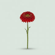 FeedSync:wholesale:b7a54c5f2b2693ee2268b3d146b291cfd3962aae