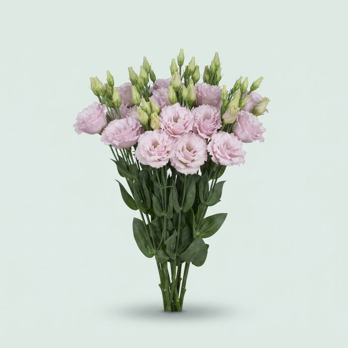FeedSync:wholesale:a2566fac8c1f85f148c75b2d2221aa3f125b6eac