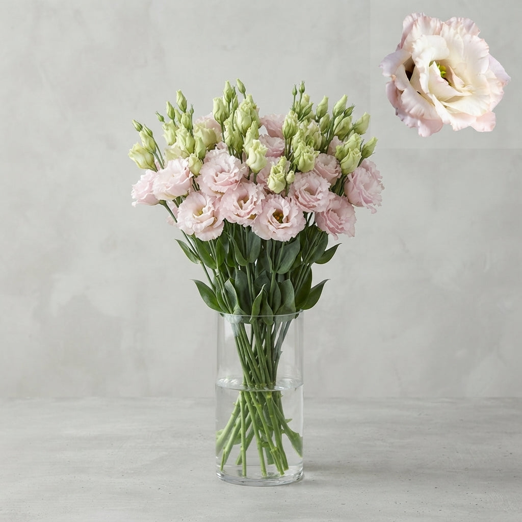 FeedSync:wholesale:b38bf4c2914de9832276dc61cb9591b6897d81c3