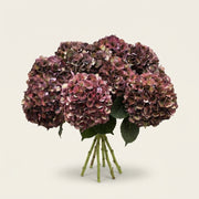 FeedSync:wholesale:016eb58987ba687df5ba7986c5db61202b0c5bd0