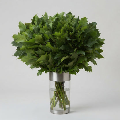 FeedSync:wholesale:93bd0ec6db1e8d331eb75aea904996f93e43ab6b