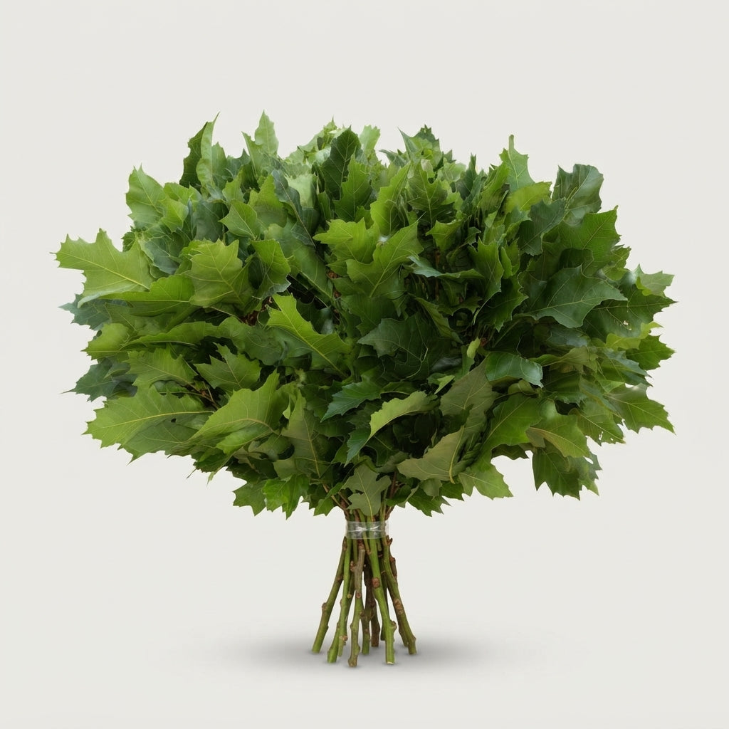 FeedSync:wholesale:dfb065d535d65a2205189ace17cb022b0fa67837