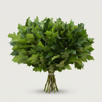 FeedSync:wholesale:dfb065d535d65a2205189ace17cb022b0fa67837