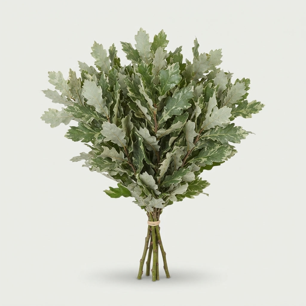 FeedSync:wholesale:2b934285321fa9603b54402efea012f70182814c