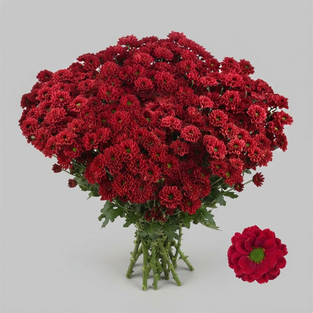 FeedSync:wholesale:99d0cfe12b4e93f5db0271a3bb4cadf8a4e5da06