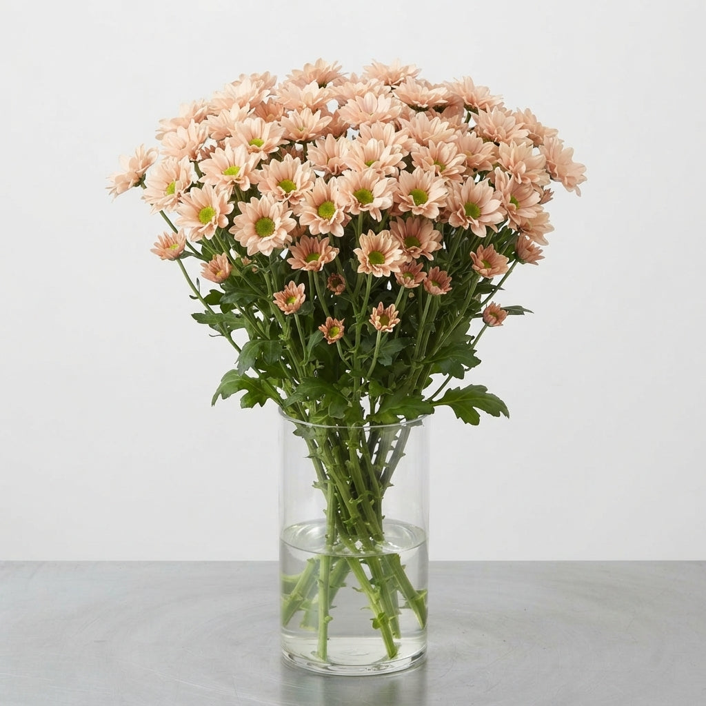 FeedSync:wholesale:477eaebdda0b0a2d1147e3bd738a74bc5369a178