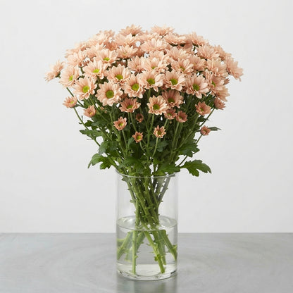 FeedSync:wholesale:477eaebdda0b0a2d1147e3bd738a74bc5369a178