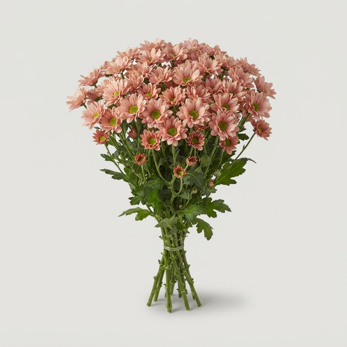 FeedSync:wholesale:ad0ef97b0dbda088ead4ce0079a60795bf6d751d