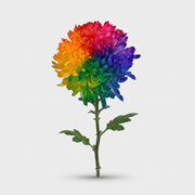 FeedSync:wholesale:411671f95d074d2741cf8038e111492f2e0ba1eb