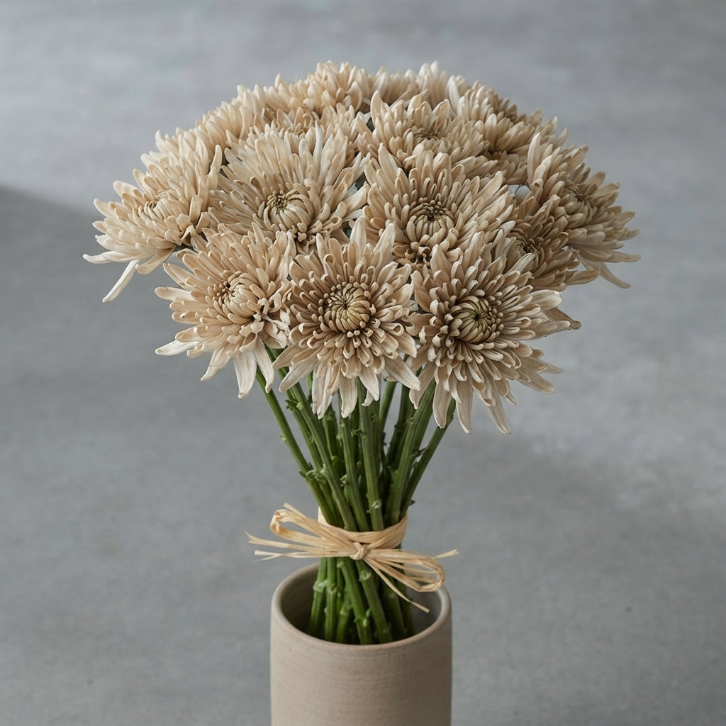 FeedSync:wholesale:21131f542def488de7b4f29377428da8477c668c
