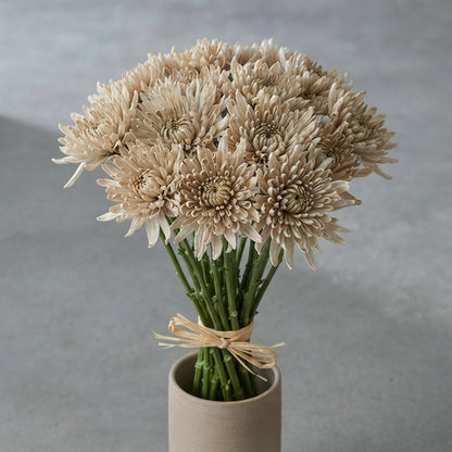 FeedSync:wholesale:21131f542def488de7b4f29377428da8477c668c