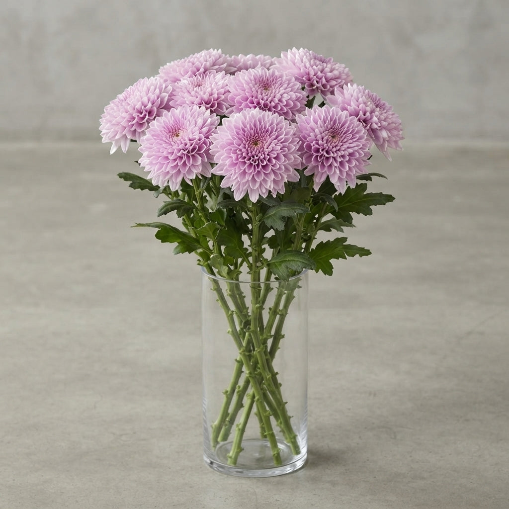 FeedSync:wholesale:d7922278dc392dd8cdef3600d889d96f15079f73