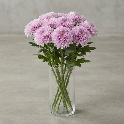 FeedSync:wholesale:d7922278dc392dd8cdef3600d889d96f15079f73