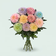 FeedSync:wholesale:9b3efb4ddd2d865724362a1cd88e56e97ea16f04