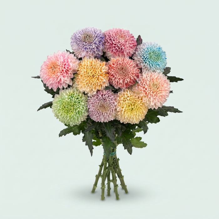 FeedSync:wholesale:9b3efb4ddd2d865724362a1cd88e56e97ea16f04