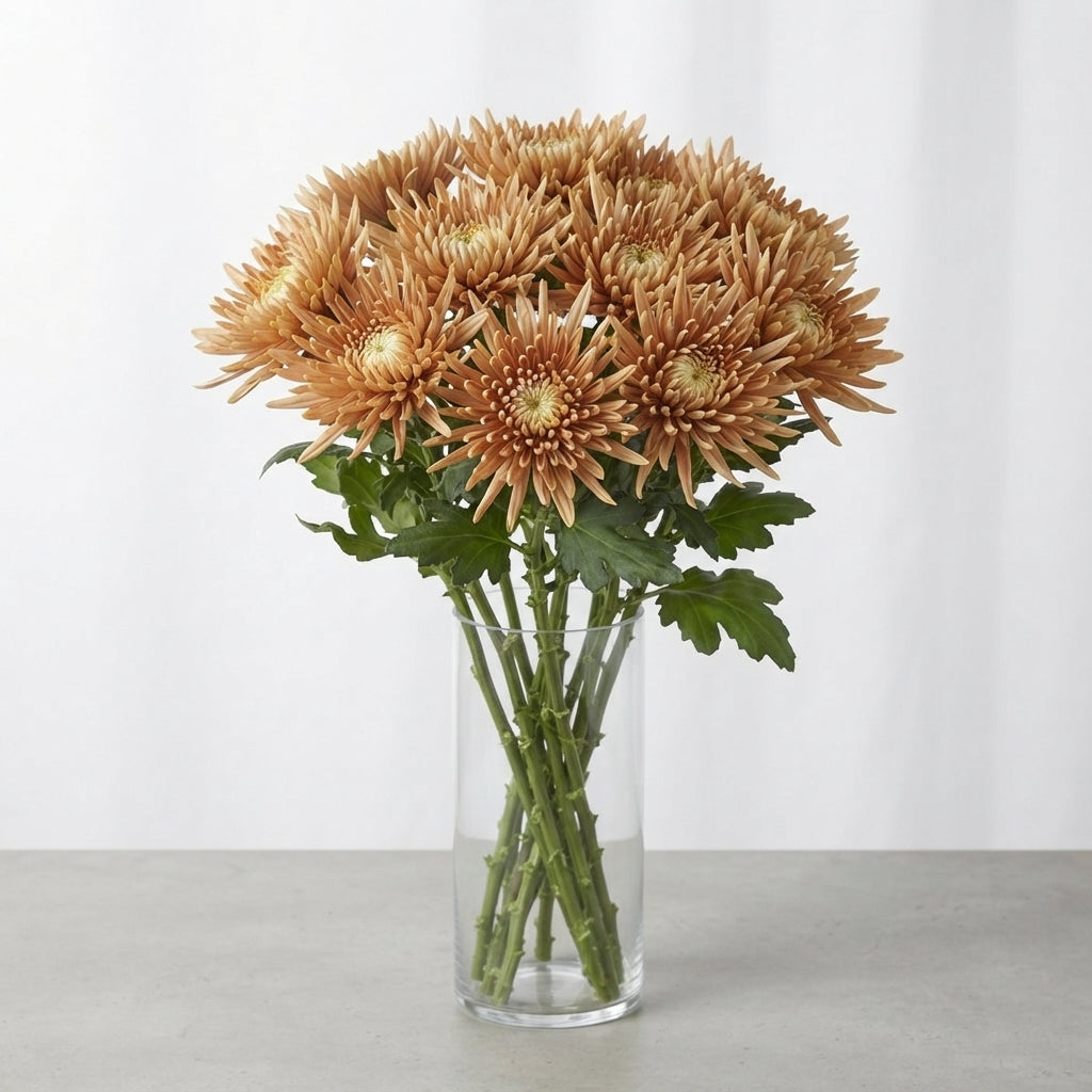FeedSync:wholesale:8ef2fd5177083beabbc2c604fe1522d516ab4df8