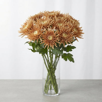 FeedSync:wholesale:8ef2fd5177083beabbc2c604fe1522d516ab4df8