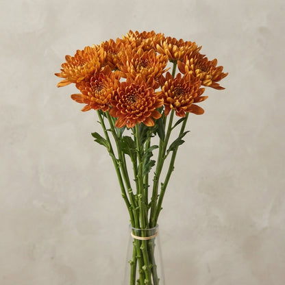 FeedSync:wholesale:196b90d11b55e93b64f873e1f8995ad4d6751f39