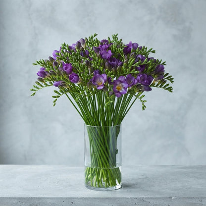 FeedSync:wholesale:d37a5bd904ac4c8f4f0472fdff8b9027babf5f66