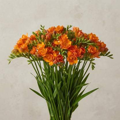 FeedSync:wholesale:87c74efc496b3f4f2c32435c493196a04a3e24ff