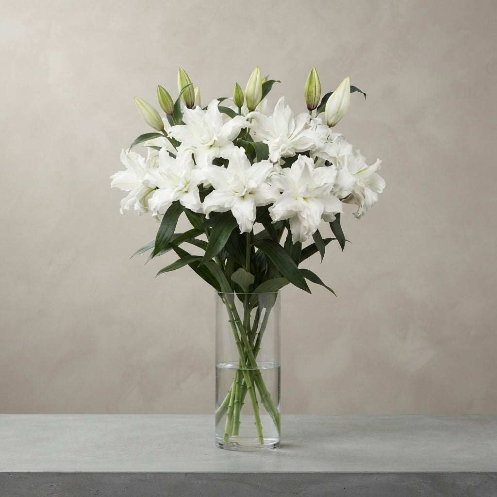 FeedSync:wholesale:a421788fa0d5f9e02ac6474d58bcc9c1108e1a21