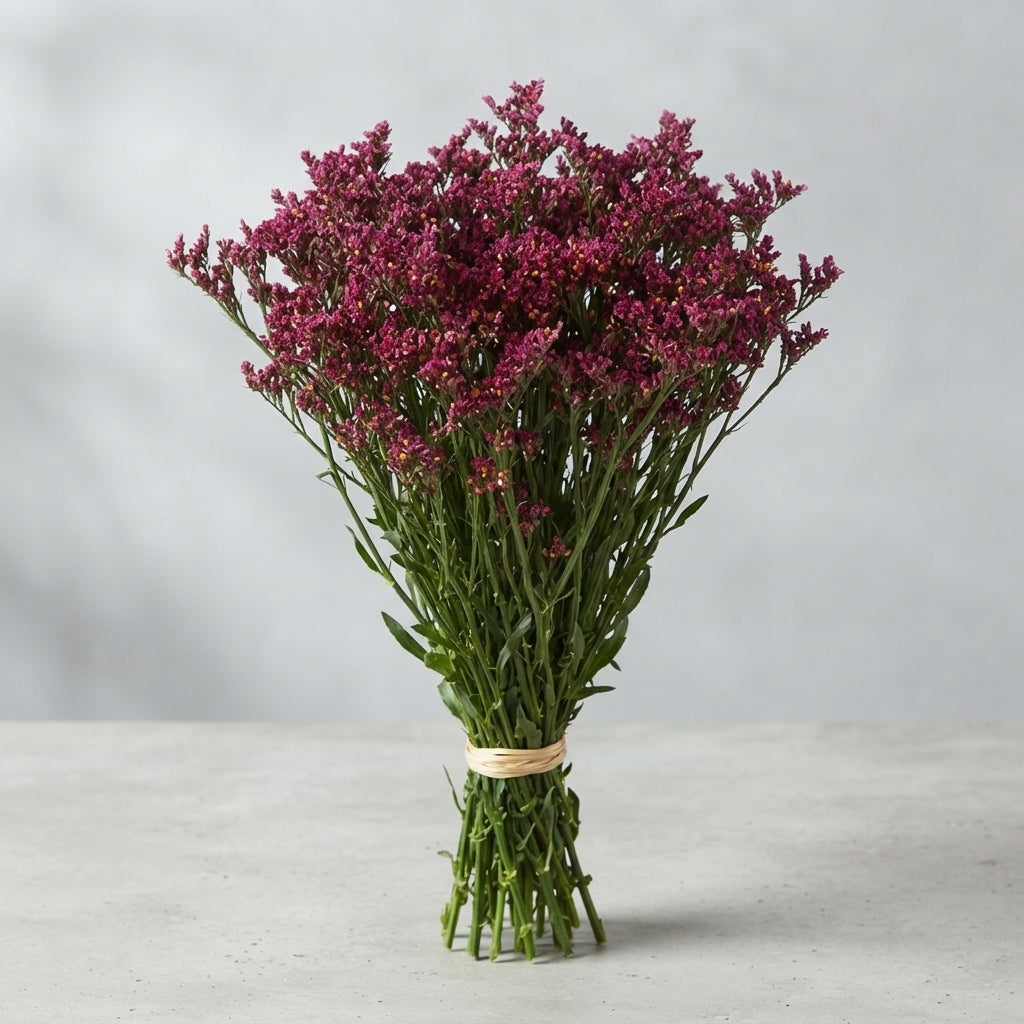 FeedSync:wholesale:b5b34ca0c64a61d72b25b27382766128c0c31d02