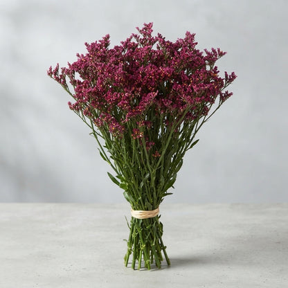 FeedSync:wholesale:b5b34ca0c64a61d72b25b27382766128c0c31d02