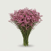 FeedSync:wholesale:93d0c4e672f2e440d5e62047a417fd23cea4199a