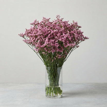 FeedSync:wholesale:4895190682fb4bee04e4e28b07081423f709a590