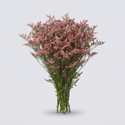 FeedSync:wholesale:0567ae40339fd4e19f99b0eb7b19dd7ed574a260