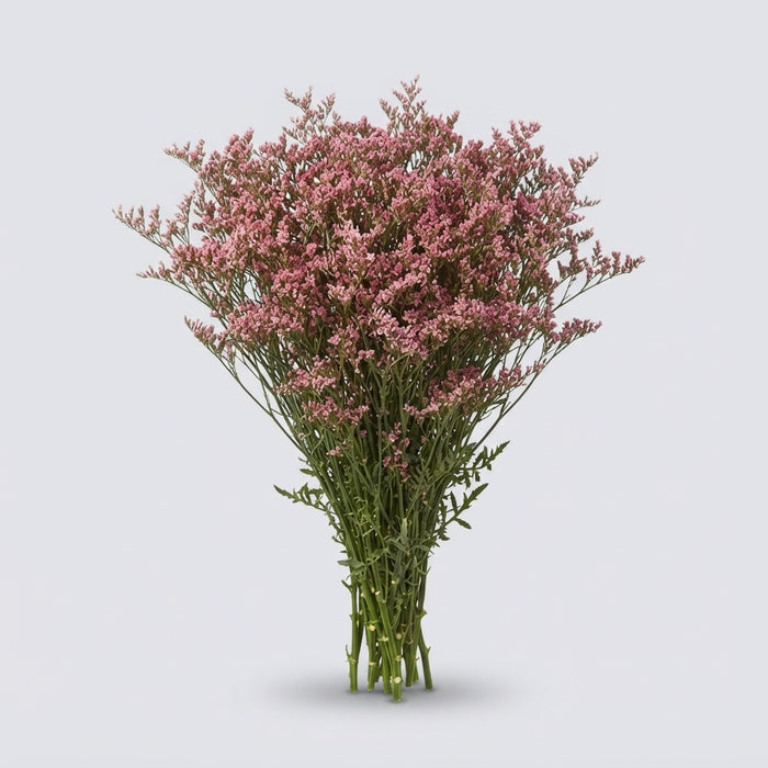 FeedSync:wholesale:0567ae40339fd4e19f99b0eb7b19dd7ed574a260