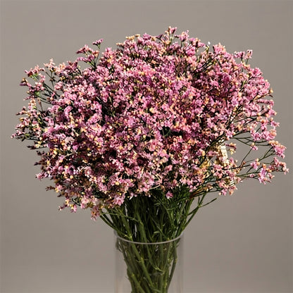 FeedSync:wholesale:8b34bc39a55d9217f6dd9bd9f5e161427ec67514