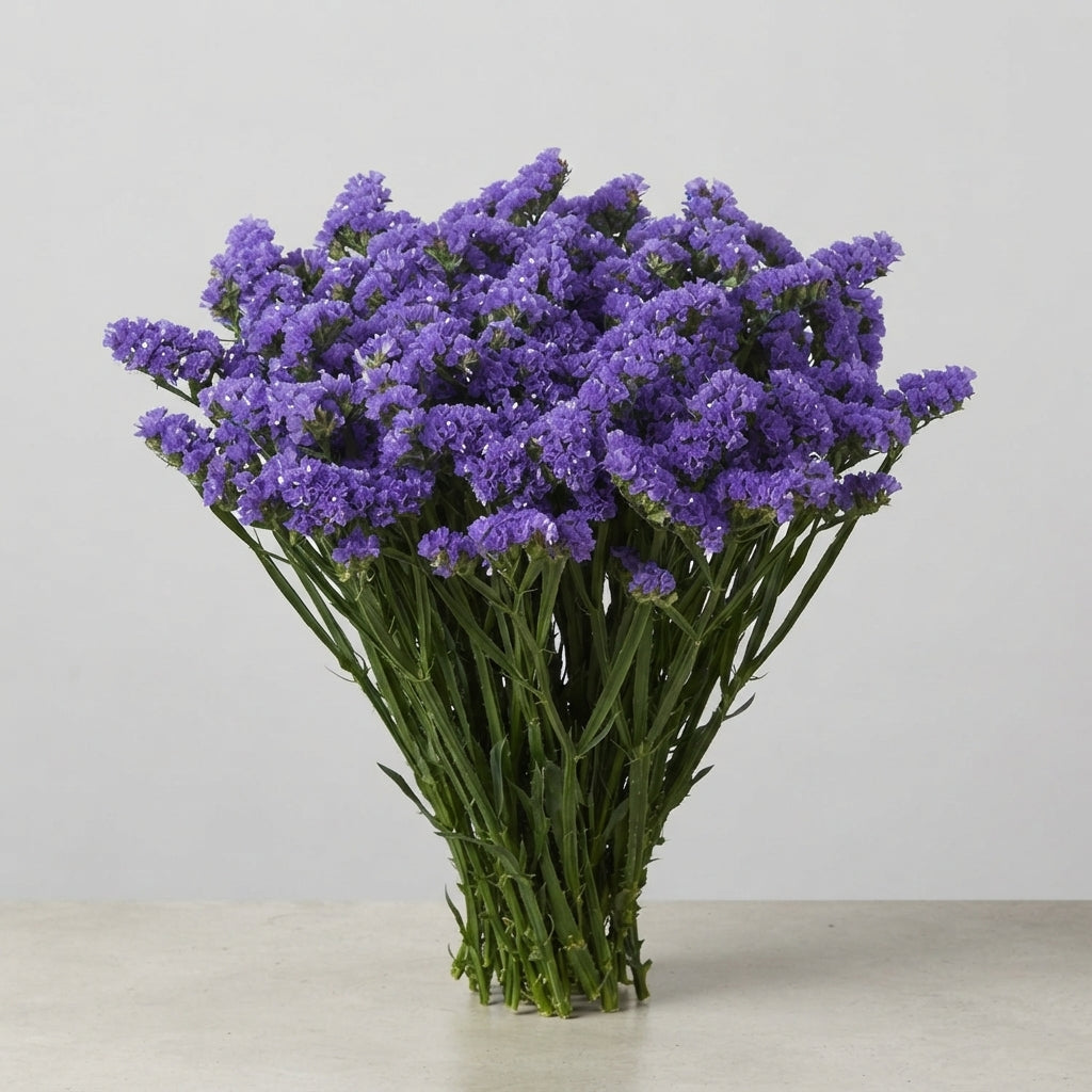 FeedSync:wholesale:89ed8af9c59254de8a945489135e2acc128d2f3d
