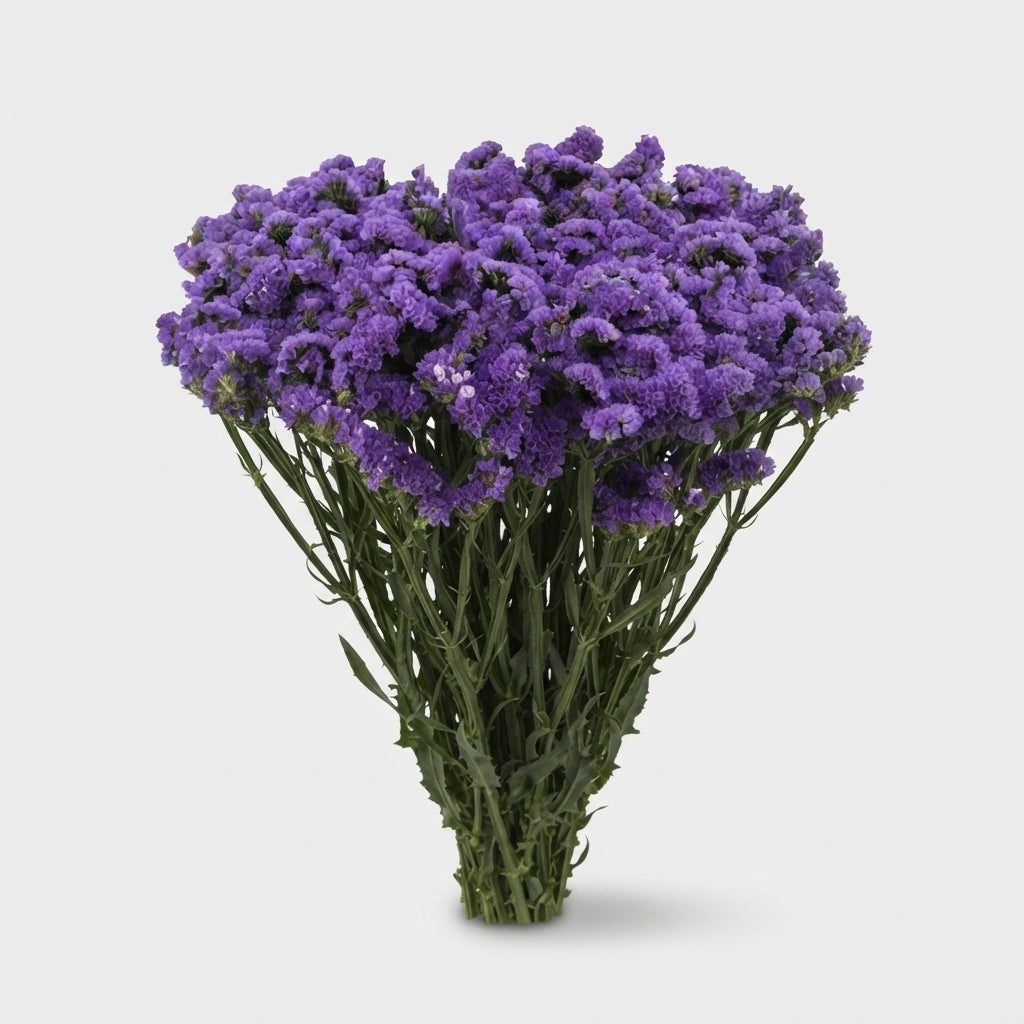 FeedSync:wholesale:81357e5fd39854e1580f160a44bdba69072e2b42