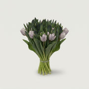 FeedSync:wholesale:fe3b2b3224a97ac197cad0e6424ff09ddc00ec7c