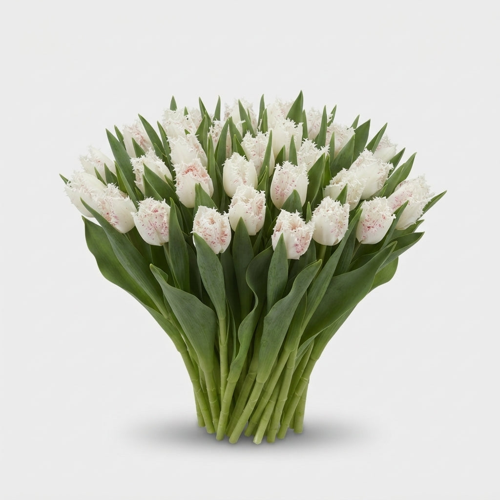 FeedSync:wholesale:ab9fa87f601d1986a5cd9c02b8ee757618a456af